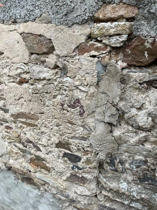 Maisonnette De Pecheur L'Aubraie Zewnętrze zdjęcie